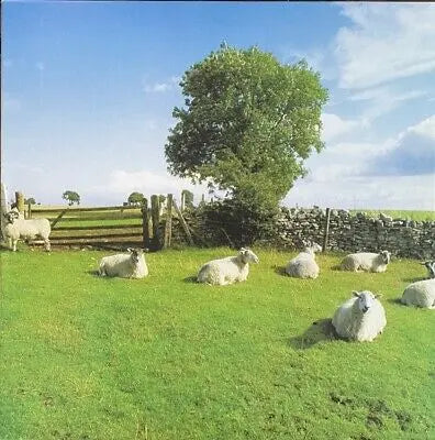 Chill Out [Clear Vinyl]