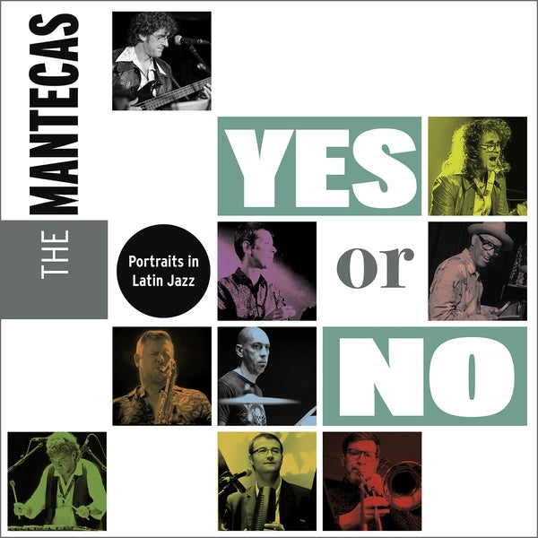 Yes or No [Vinyl]
