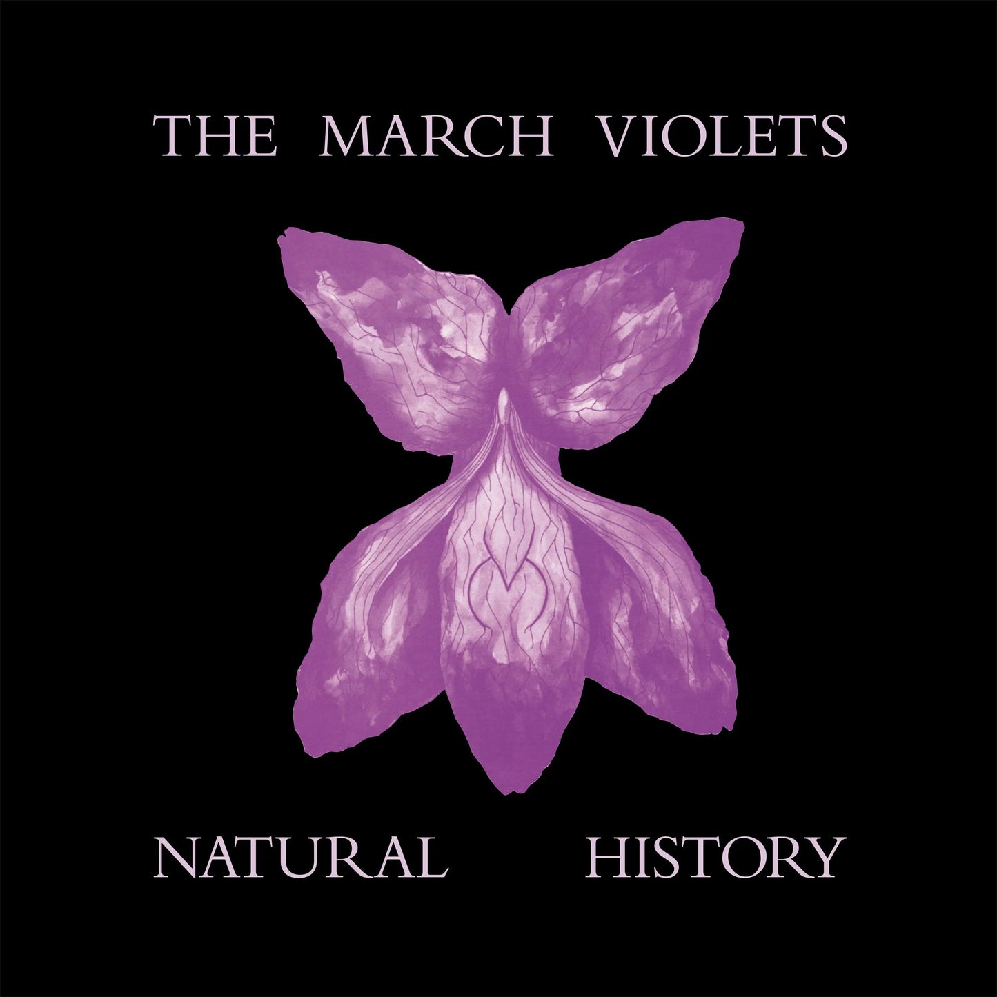 Natural History (Violet Vinyl) [LP]