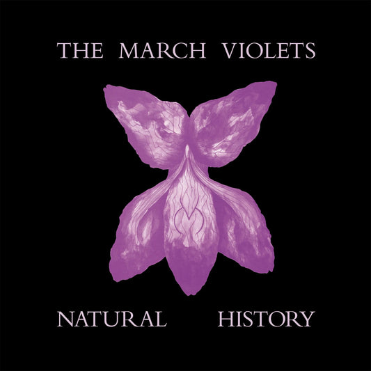 Natural History (Violet Vinyl) [LP]
