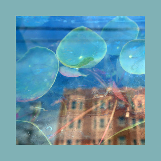 Acknowledge Kindness [Subconscious Window Pane Vinyl]