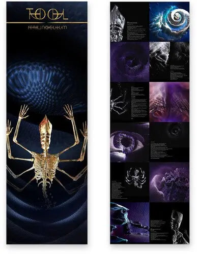 Fear Inoculum [Vinyl 3LP]