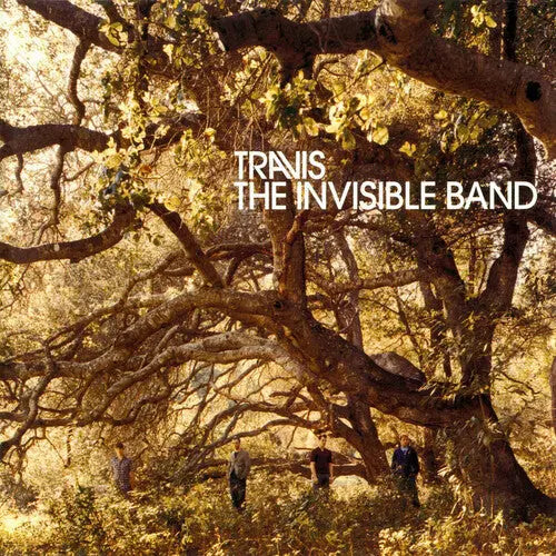 The Invisible Band (20th Anniversary) [Clear Vinyl Box Set]