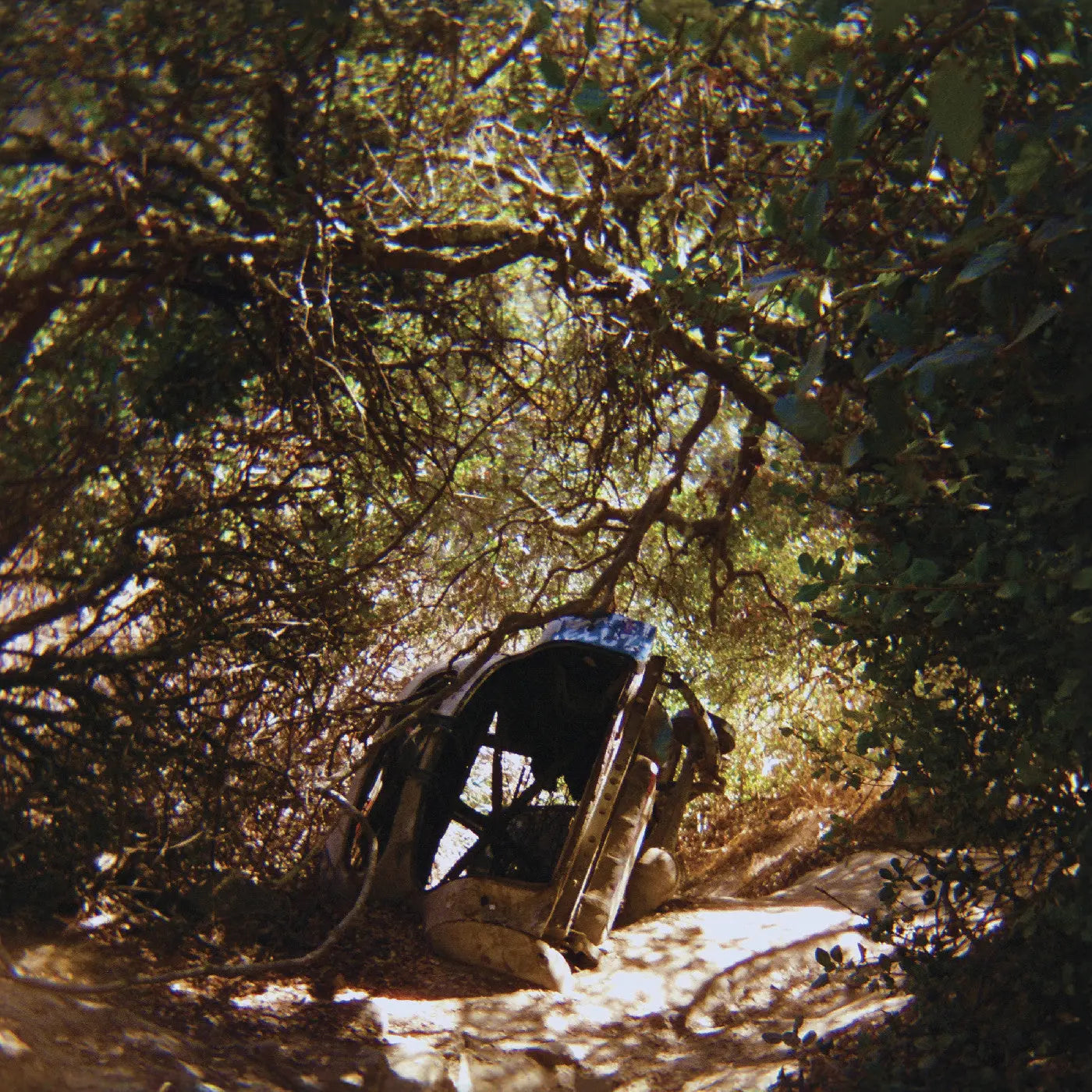Possession [LP]