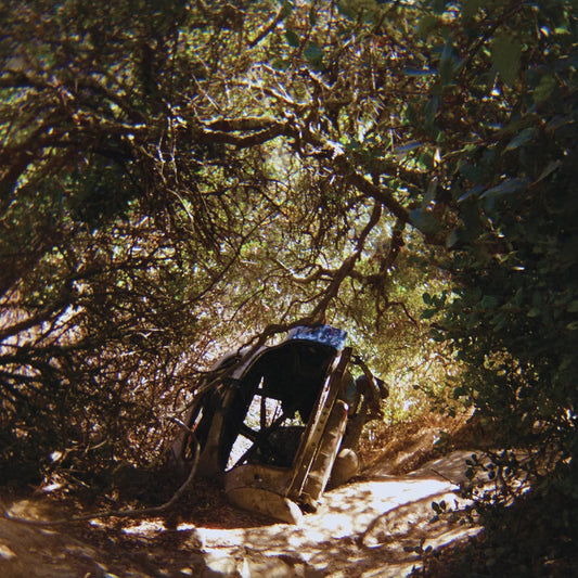 Possession [LP]