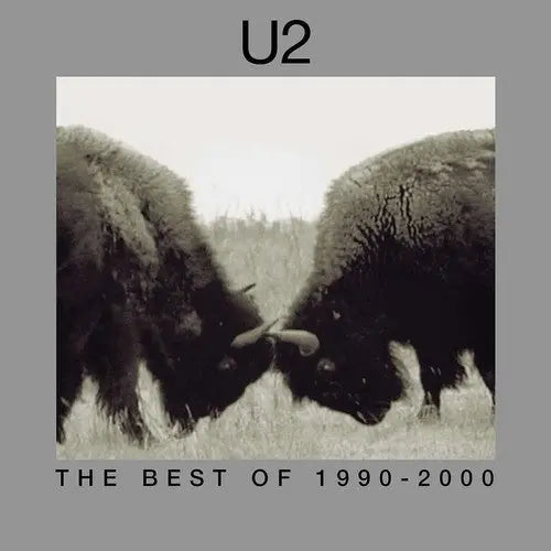 The Best Of 1990-2000 [Vinyl]