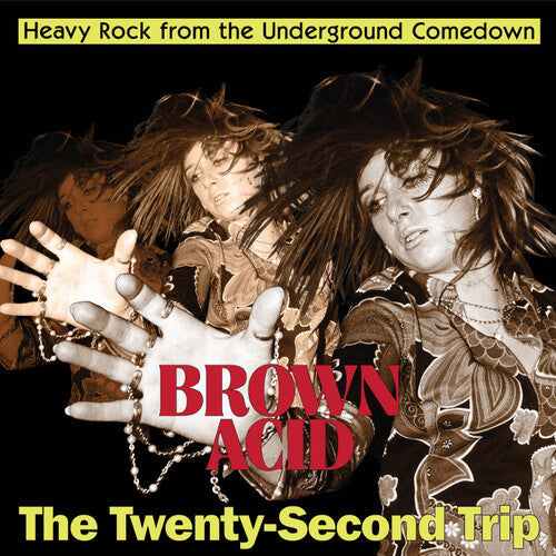 Brown Acid: The Twenty-Second Trip [LP]