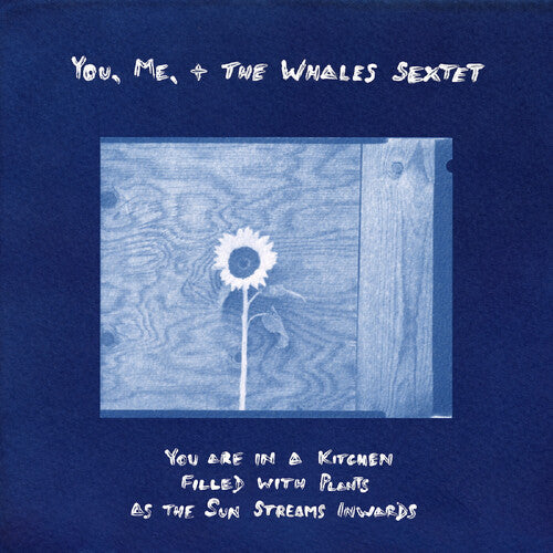 You Are In A Kitchen Filled With Plants As The Sun Streams Inwards [LP]