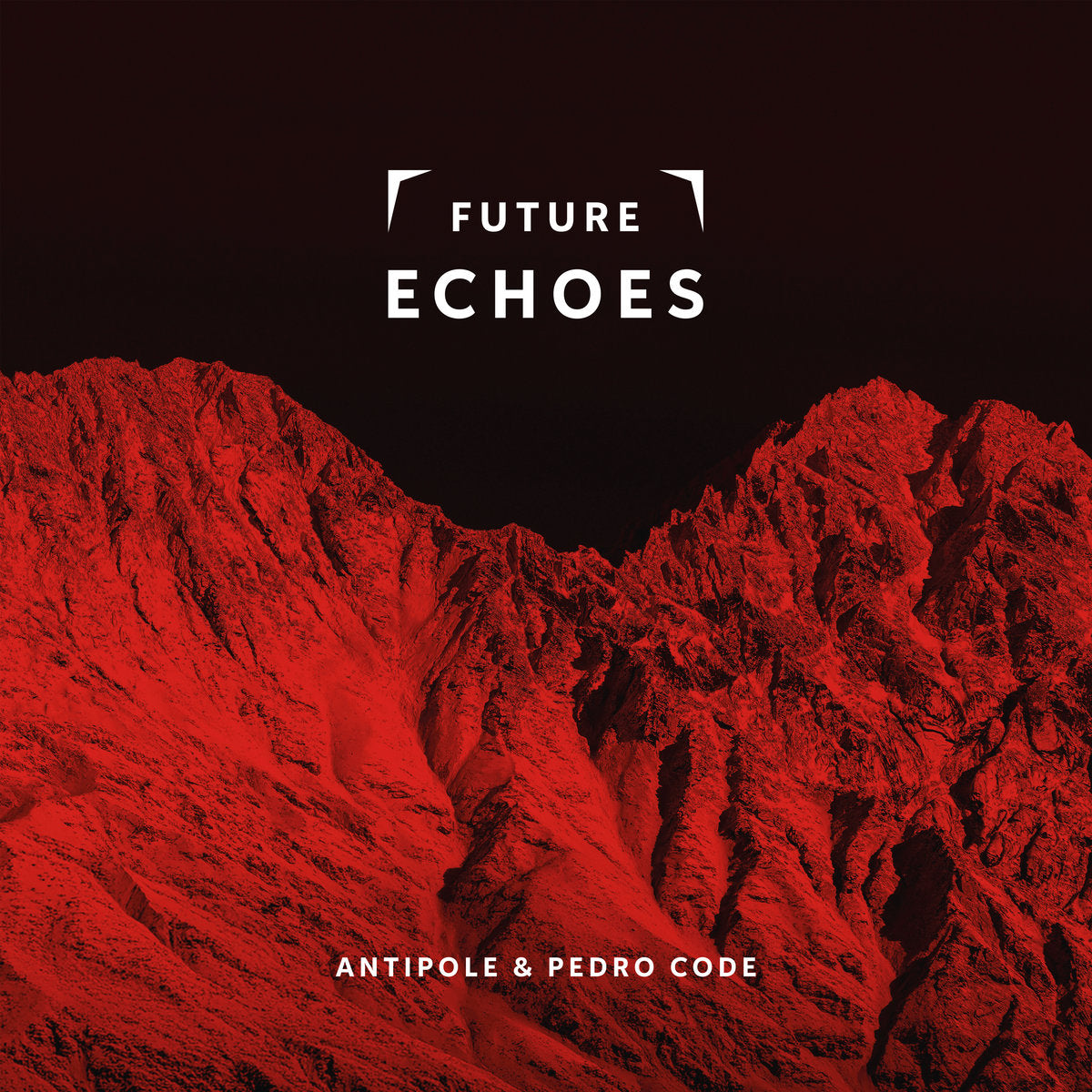 Future Echoes [LP]