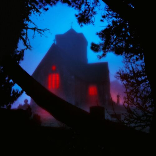 The Host [LP]