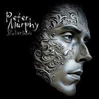 Silver Shade [2LP]