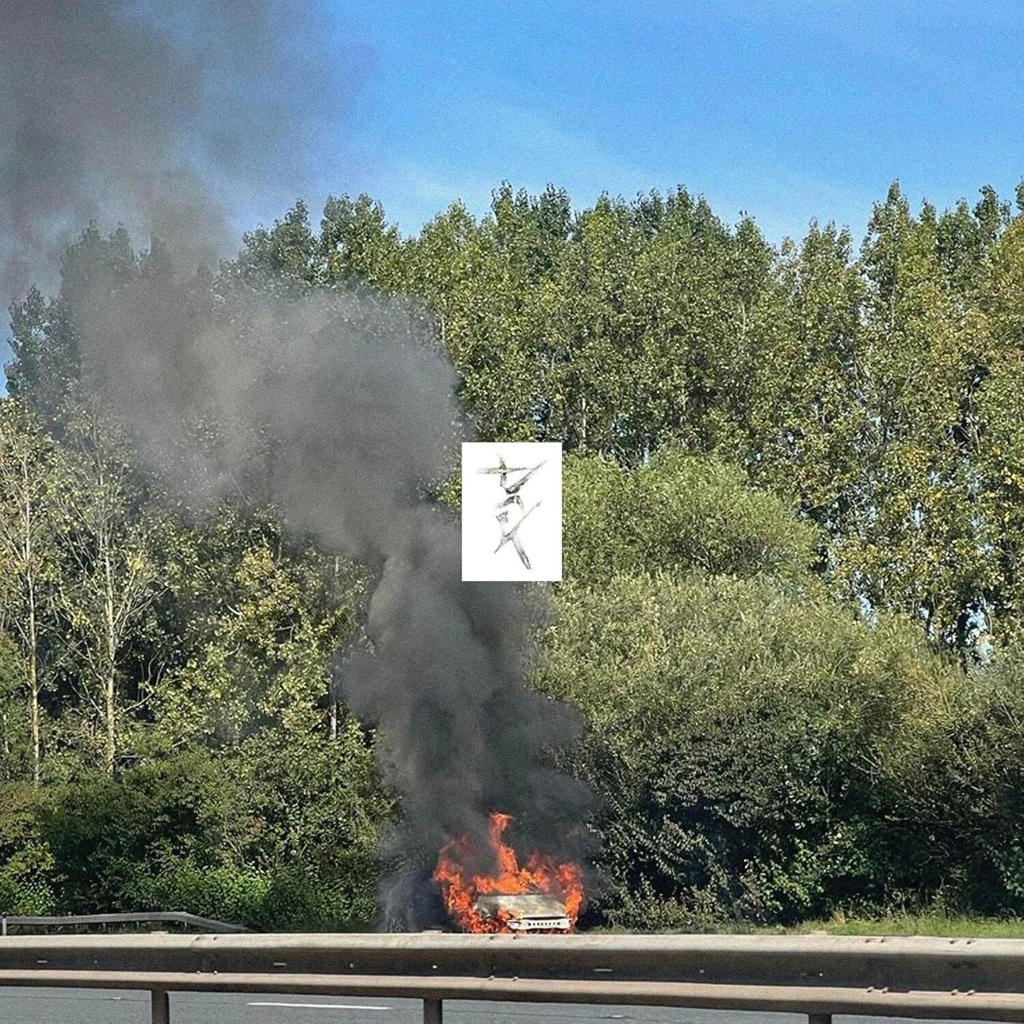 Dark [LP]